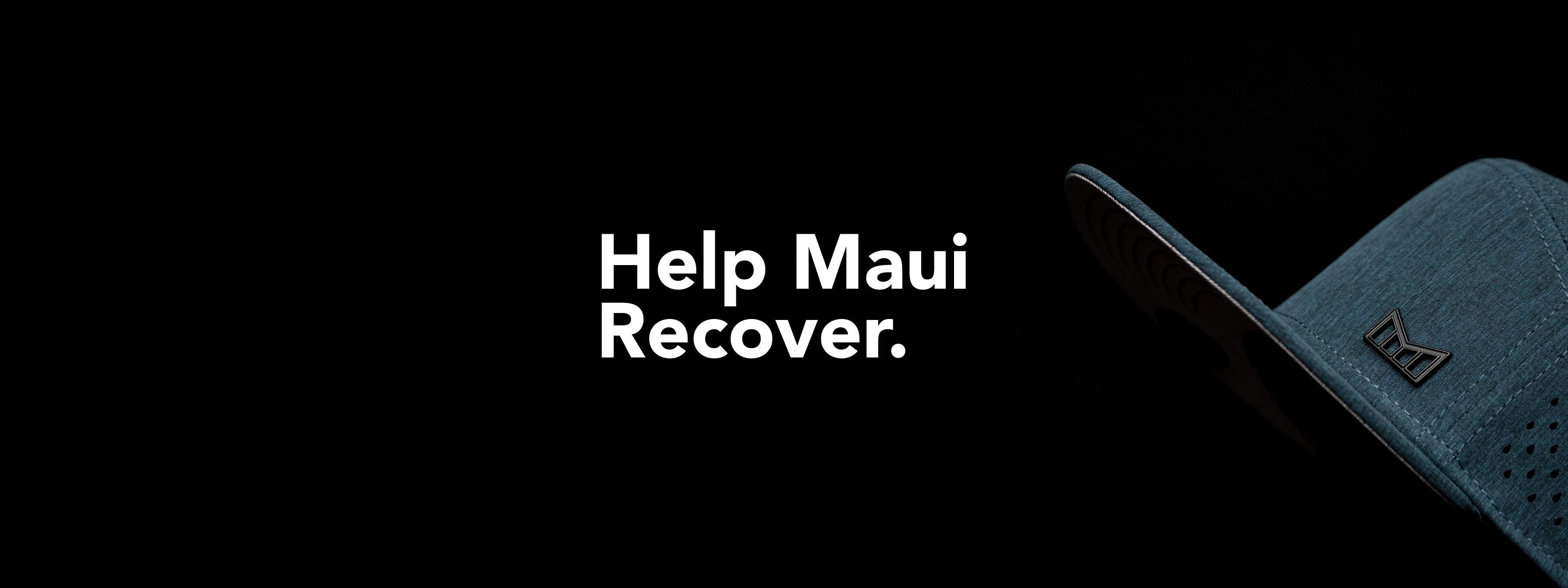 Help Maui Recover
